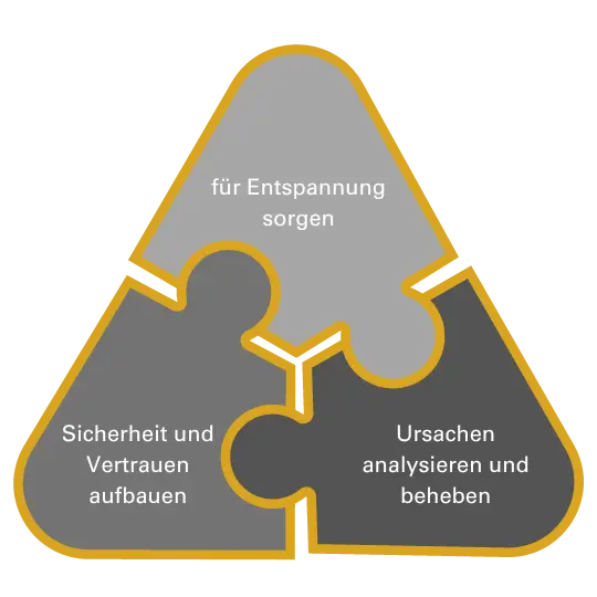 rückentraining puzzleteile